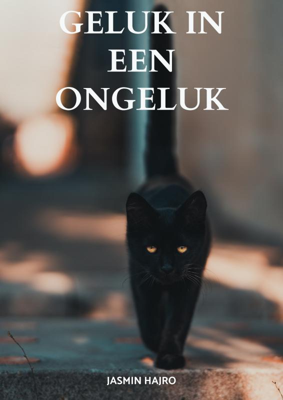 Omslag van Geluk in een ongeluk