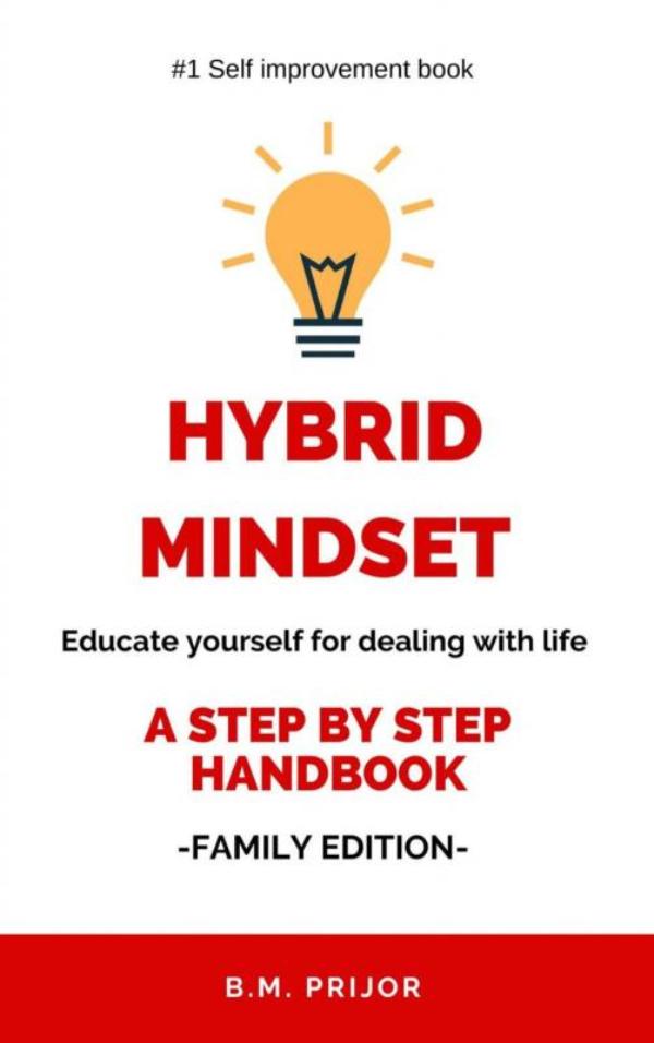 Omslag van Hybrid mindset