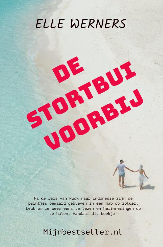 Omslag van DE STORTBUI VOORBIJ
