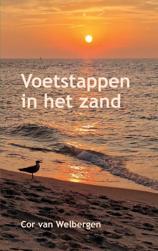 Omslag van Voetstappen in het zand