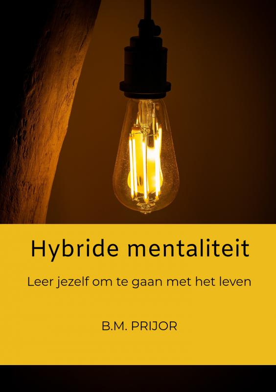 Omslag van Hybride mentaliteit