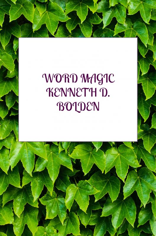 Omslag van Word Magic Kenneth D. Bolden