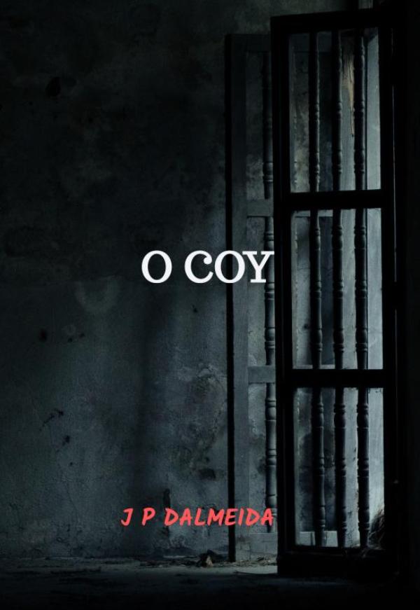 Omslag van O COY