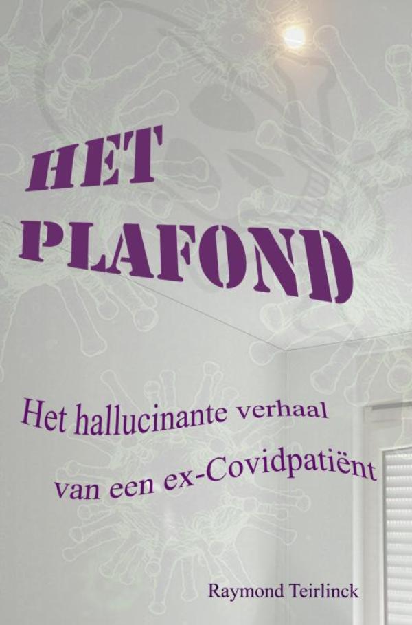 Omslag van Het Plafond
