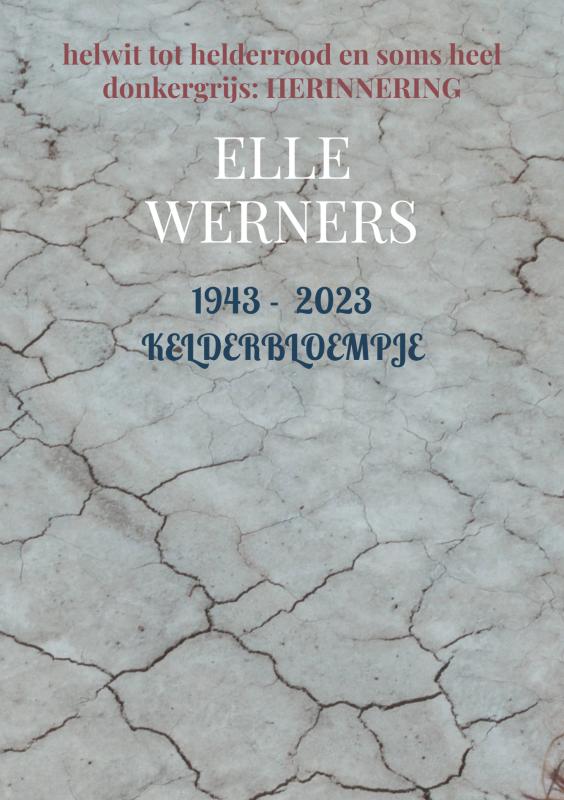 Omslag van 1943 - 2023 KELDERBLOEMPJE