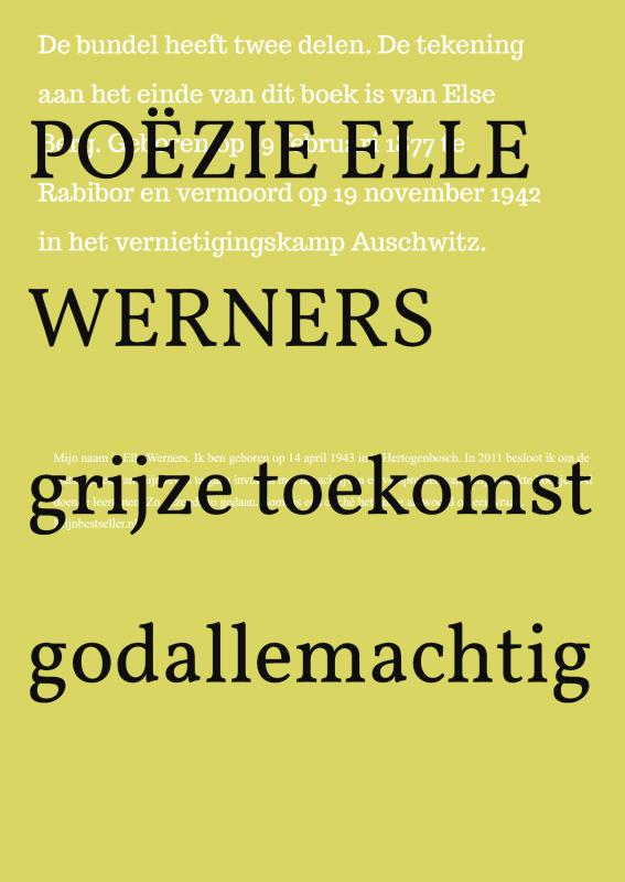 Omslag van GRIJZE TOEKOMST GODALLEMACHTIG