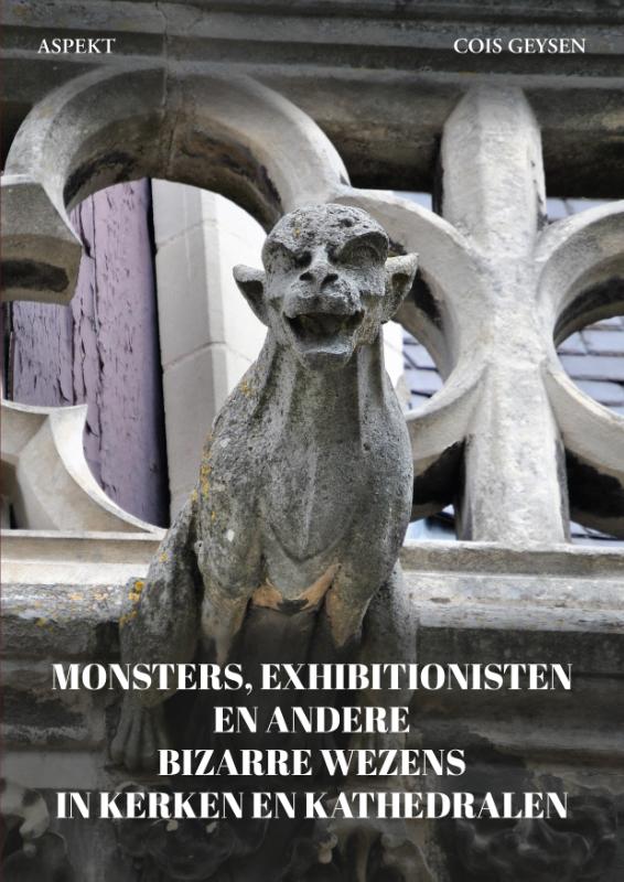 Omslag van Monsters, exhibitionisten en andere bizarre wezens in kerken en kathedralen