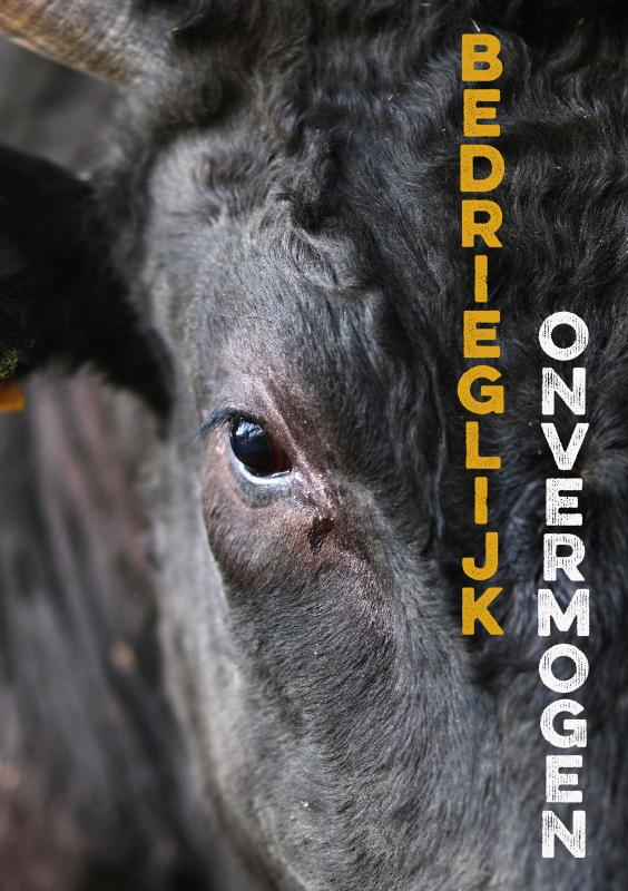 Omslag van Bedrieglijk onvermogen