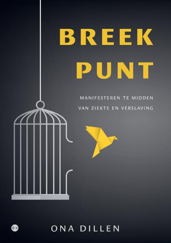 Omslag van Breekpunt
