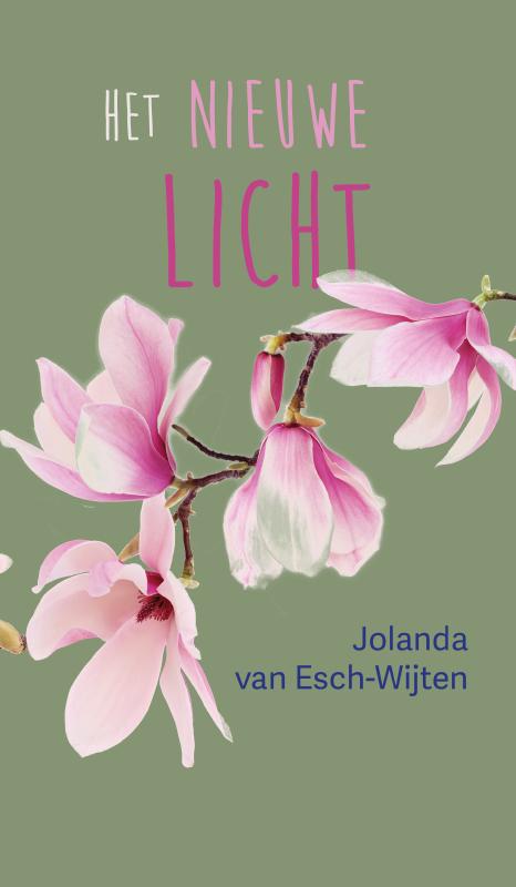 Omslag van Het nieuwe licht