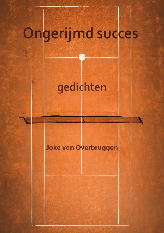 Omslag van Ongerijmd succes