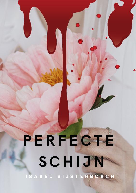 Omslag van Perfecte Schijn