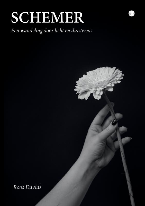 Omslag van Schemer