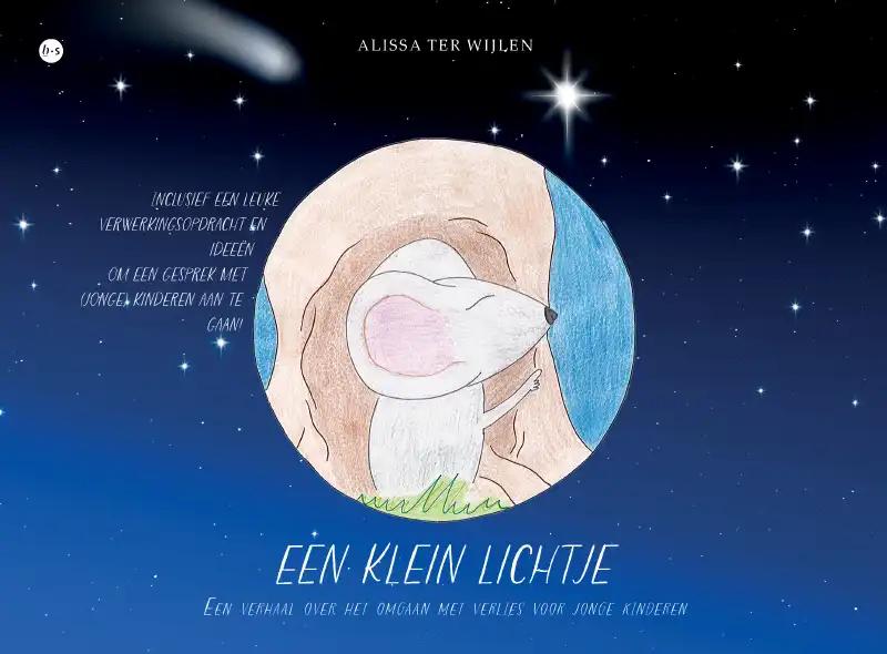 Omslag van Een klein lichtje