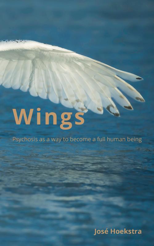 Omslag van Wings