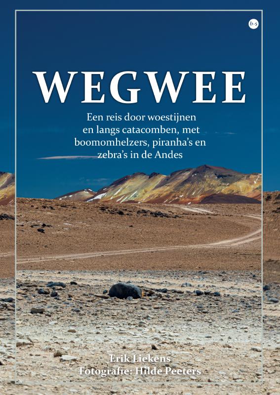 Omslag van Wegwee