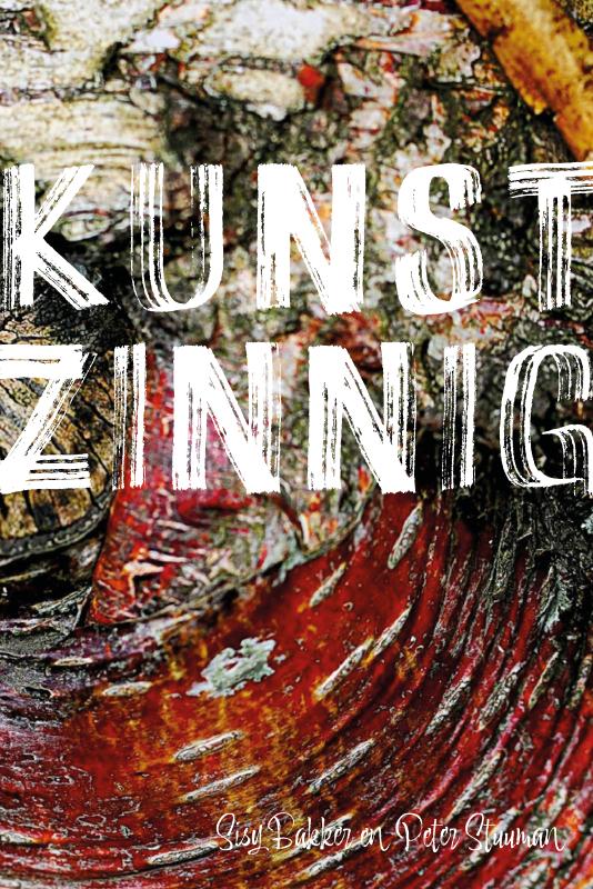 Omslag van Kunstzinning