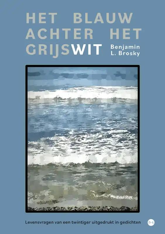 Omslag van Het blauw achter het grijswit