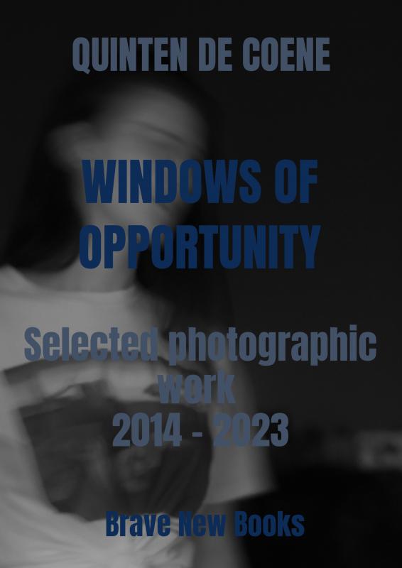 Omslag van Windows of Opportunity