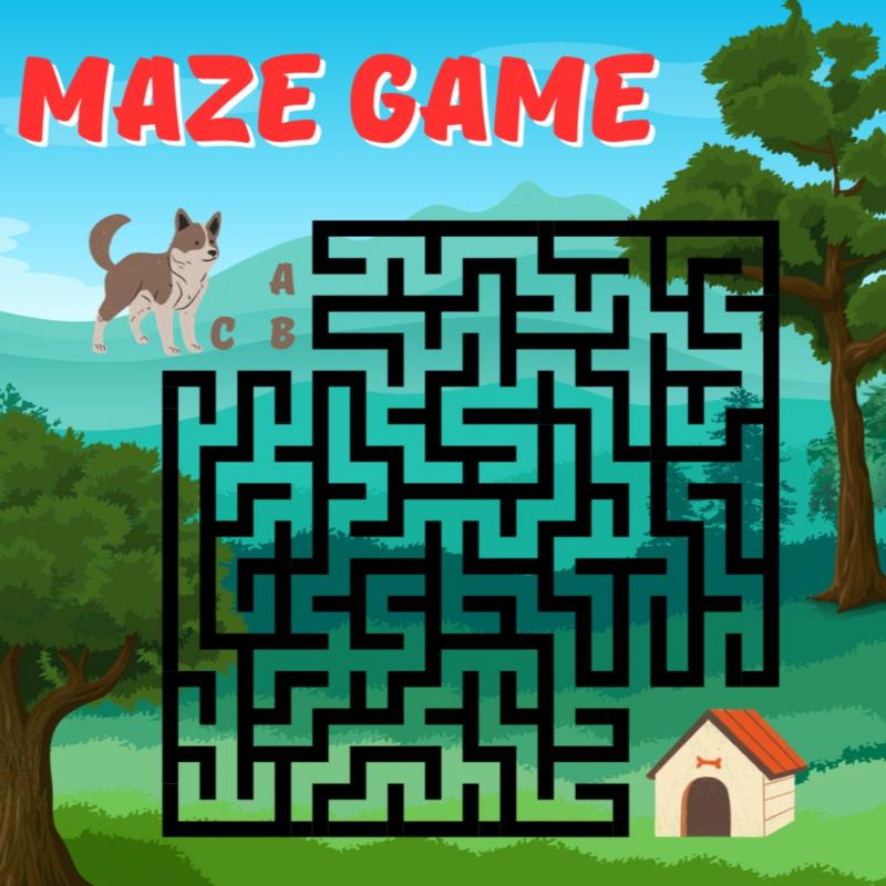 Omslag van MAZE Games