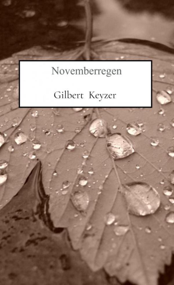 Omslag van Novemberregen