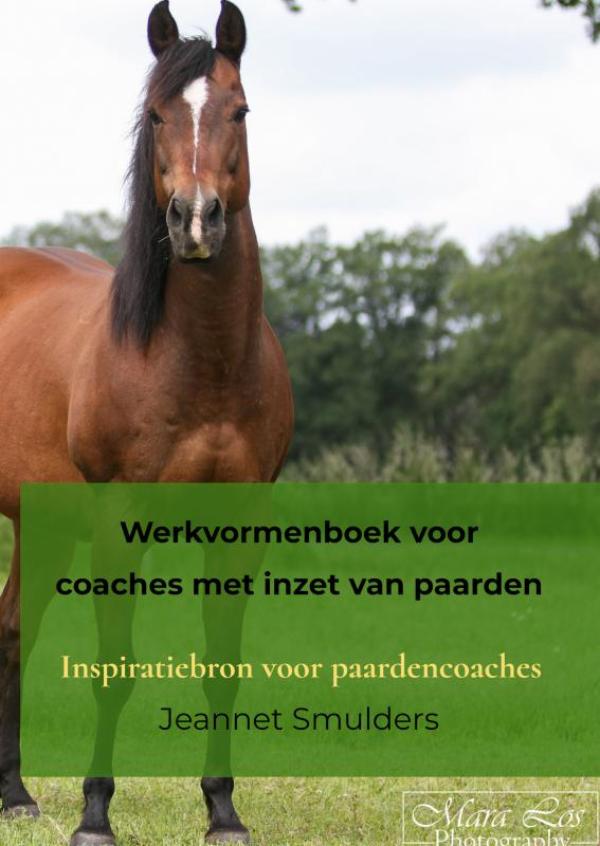 Omslag van Werkvormenboek voor coaches met inzet van paarden