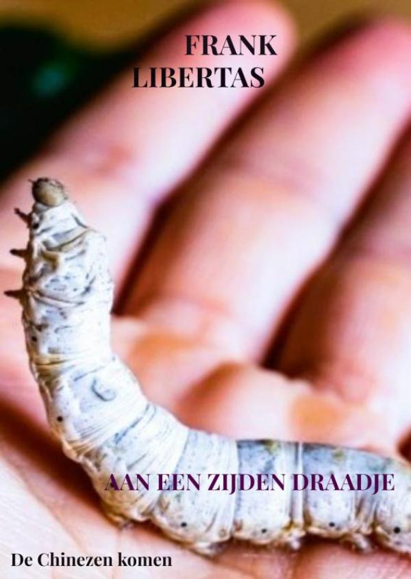 Omslag van Aan een zijden draadje