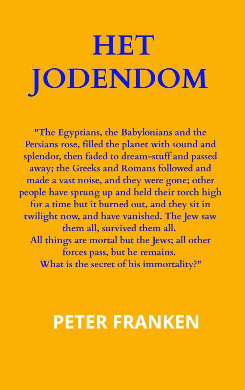 Omslag van Het jodendom
