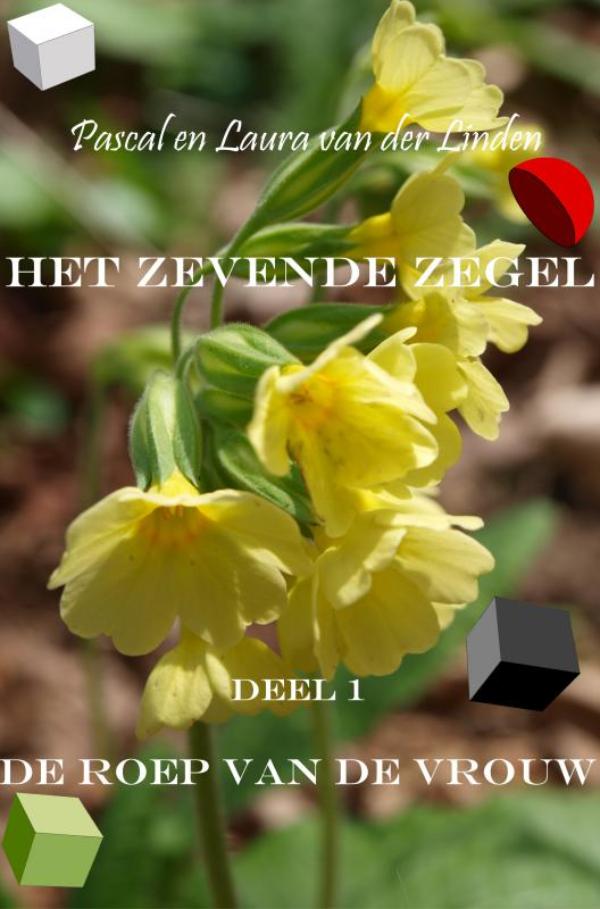 Omslag van Het zevende zegel