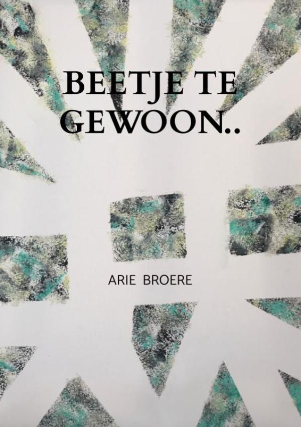 Omslag van Beetje te gewoon..