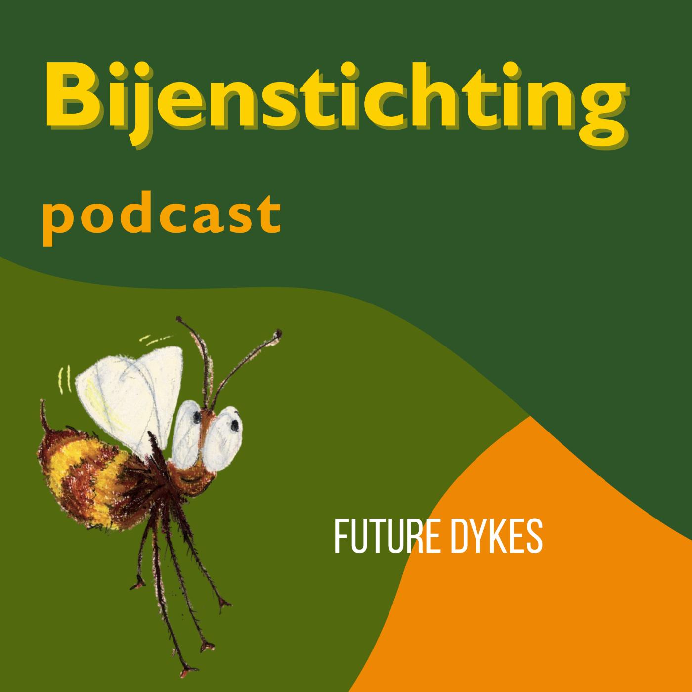 Omslag van Future Dykes