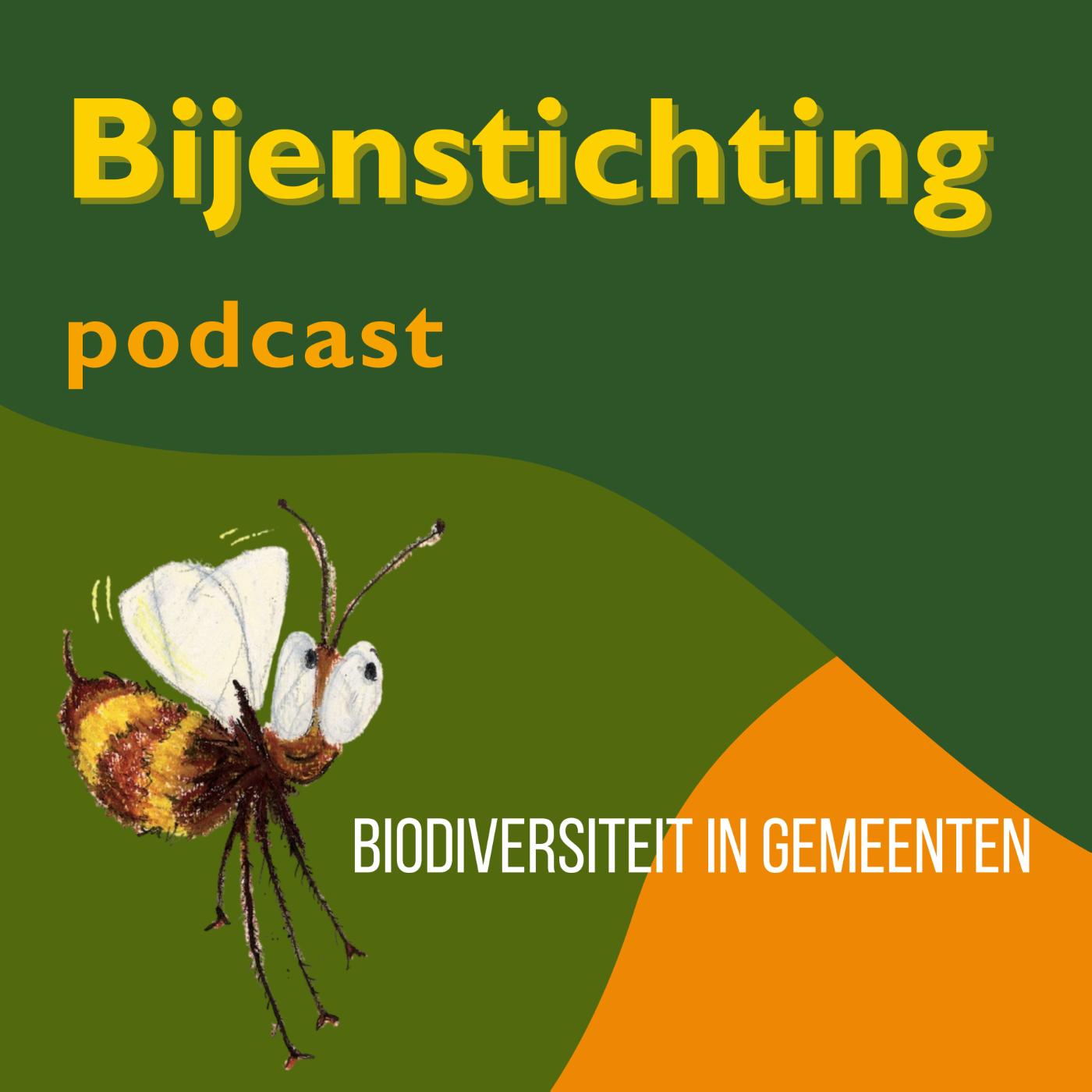 Omslag van Biodiversiteit in gemeenten