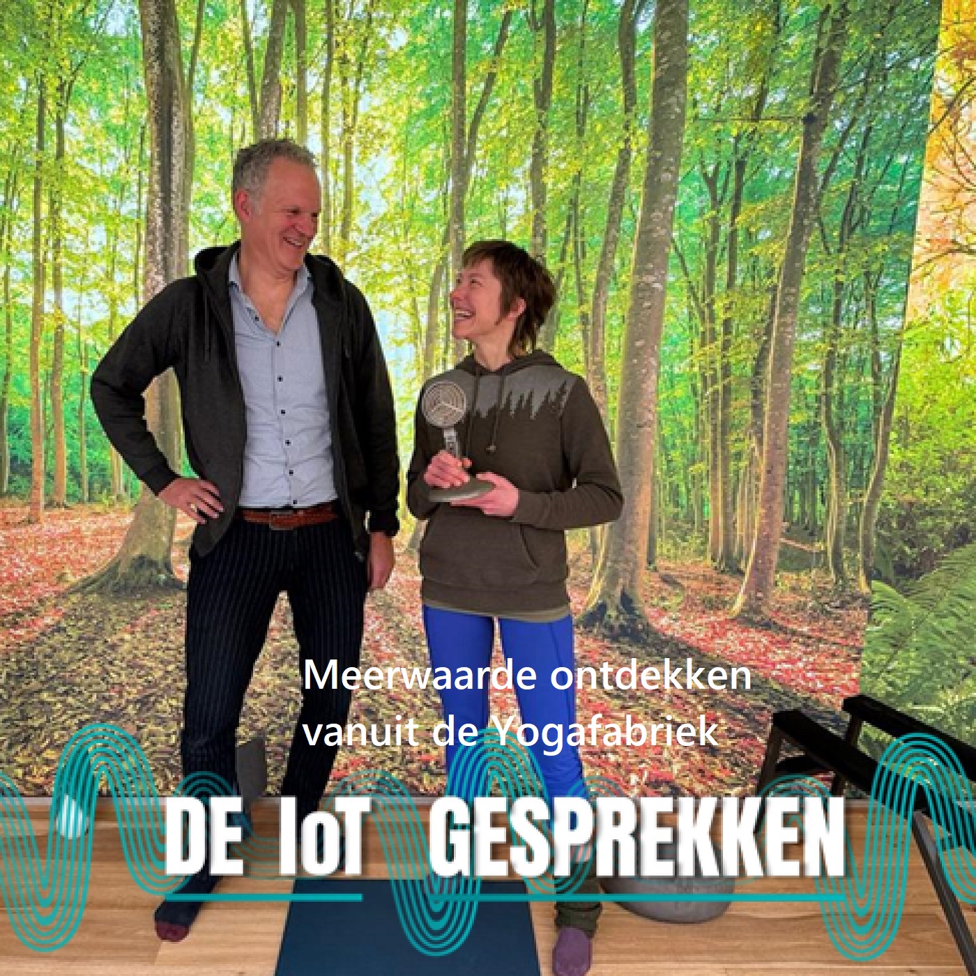 Omslag van Meerwaarde ontdekken vanuit de Yogafabriek