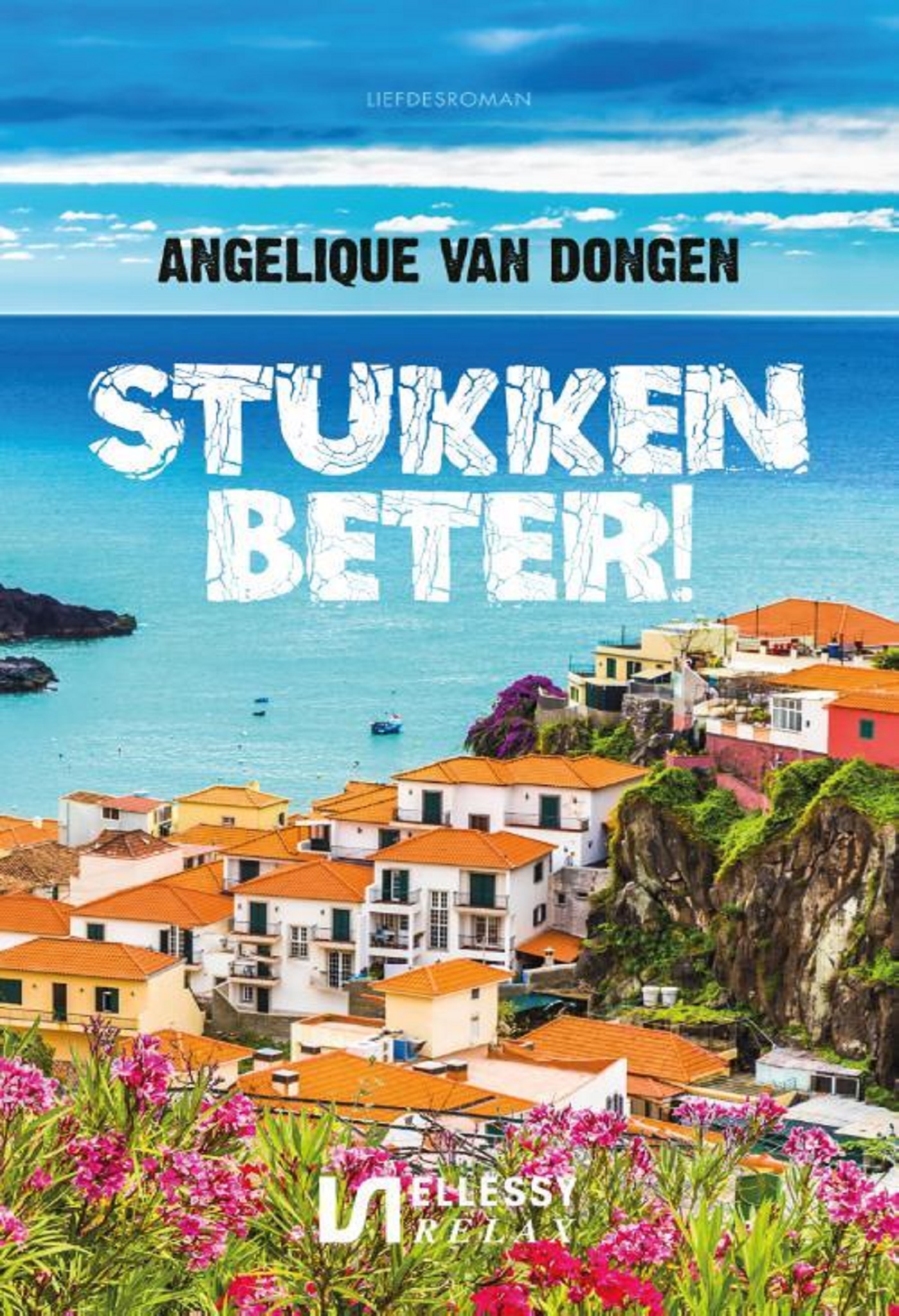 Omslag van Stukken beter