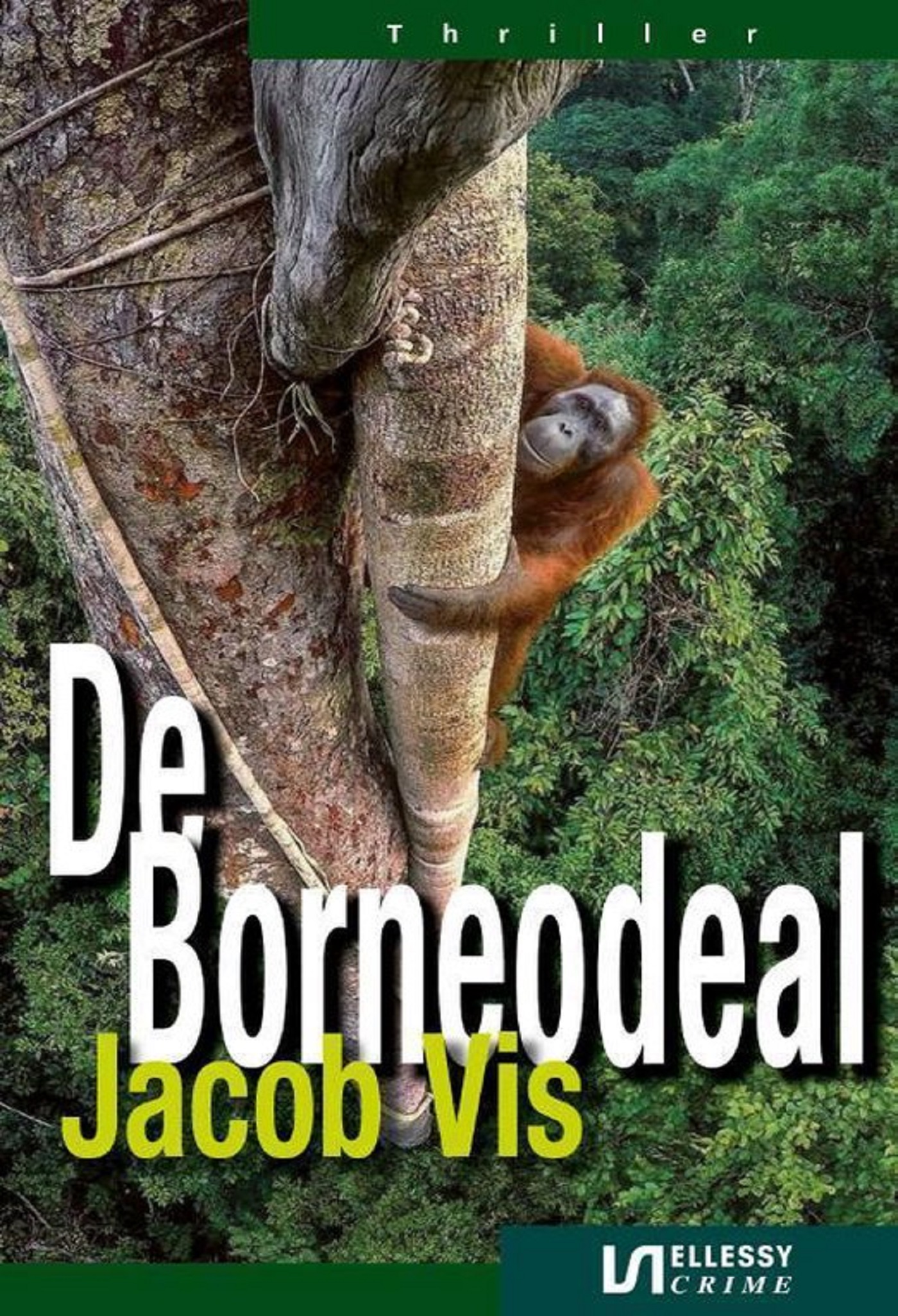 Omslag van De Borneodeal