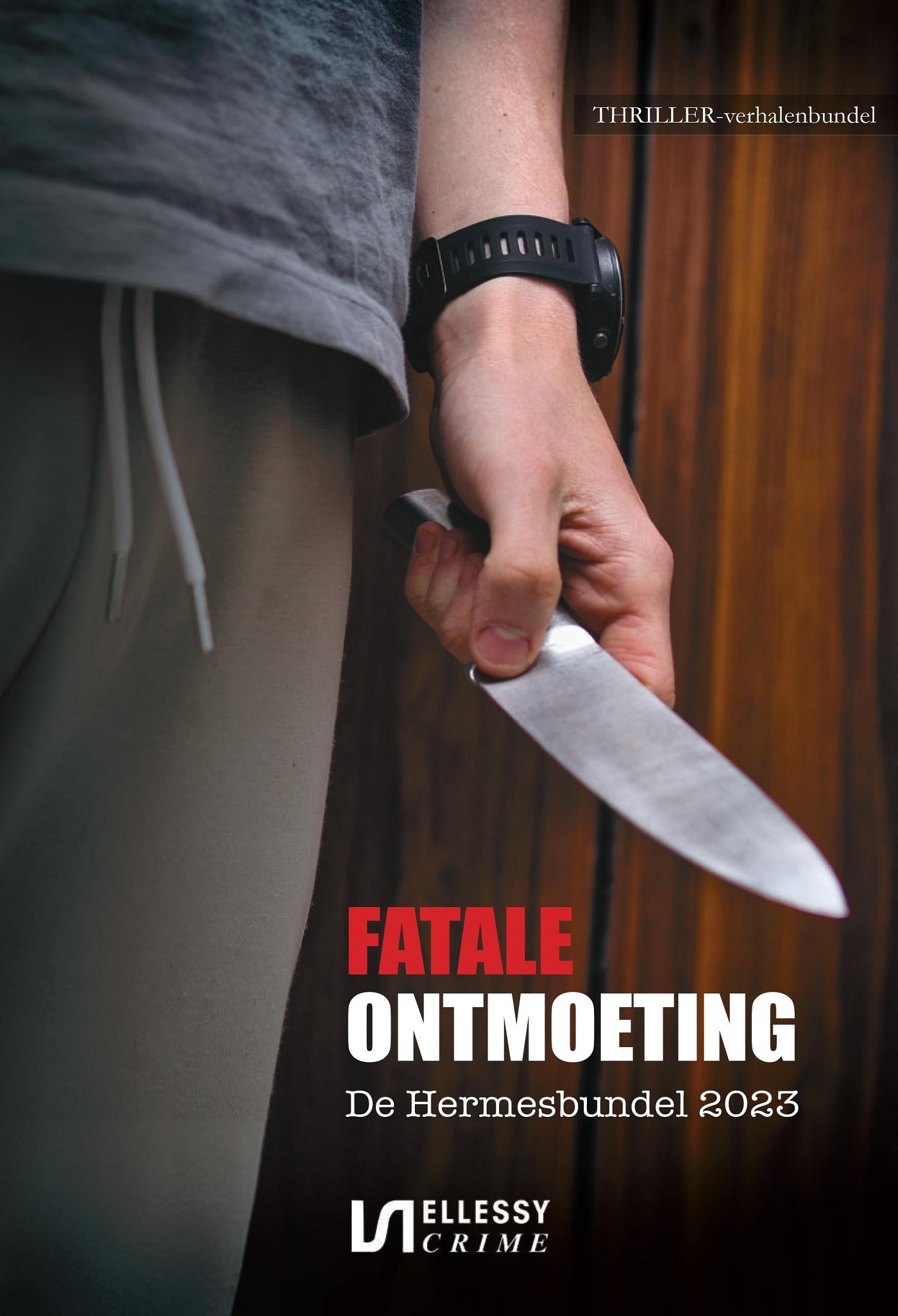 Omslag van Fatale ontmoeting