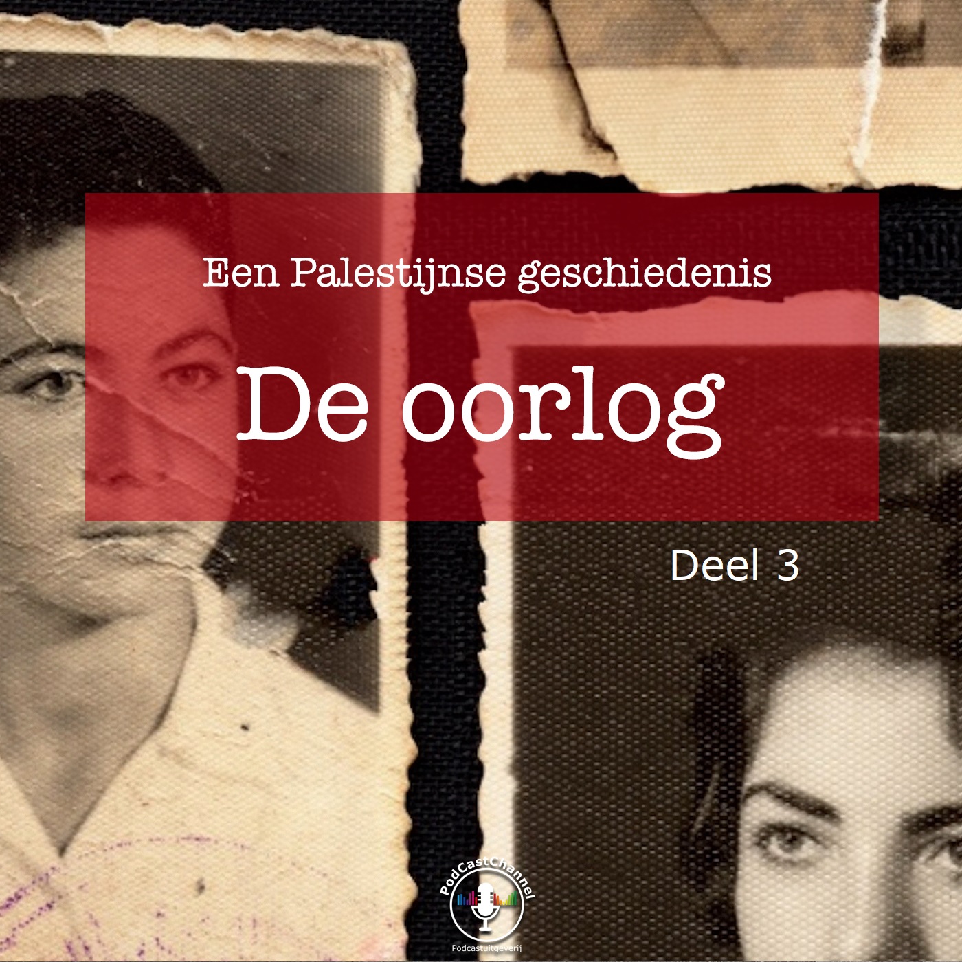 Omslag van De oorlog