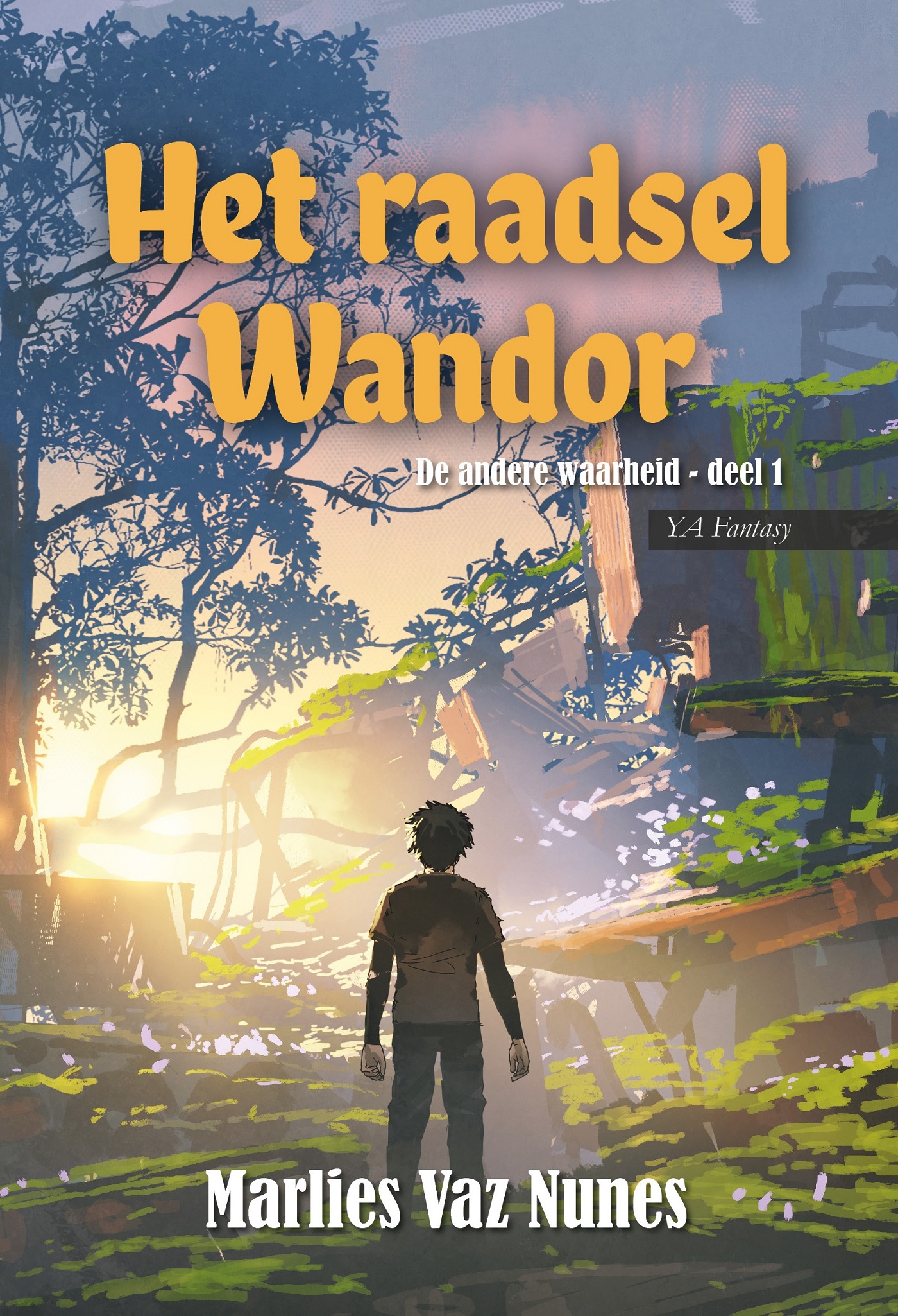 Omslag van Het raadsel Wandor
