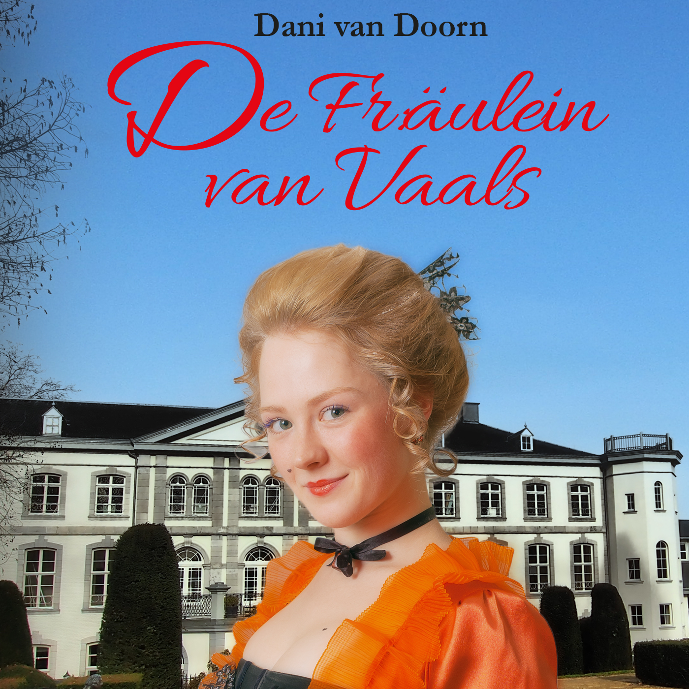 Omslag van De Fräulein van Vaals