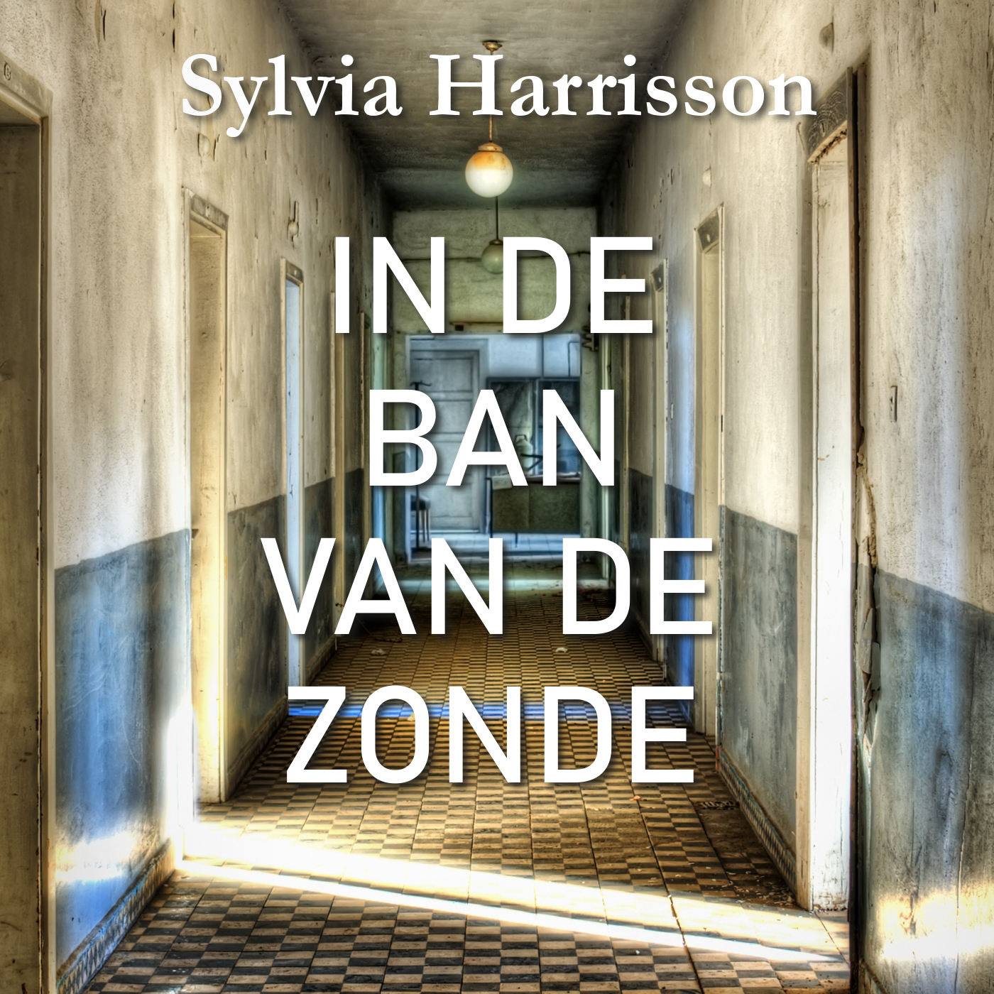 Omslag van In de ban van de zonde