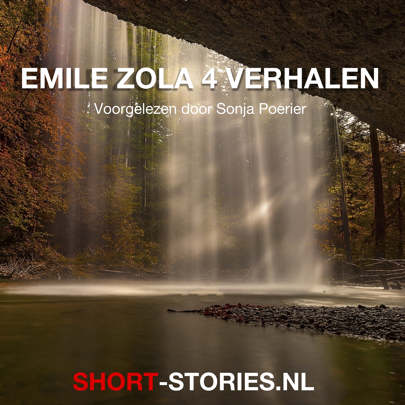 Omslag van Emile Zola