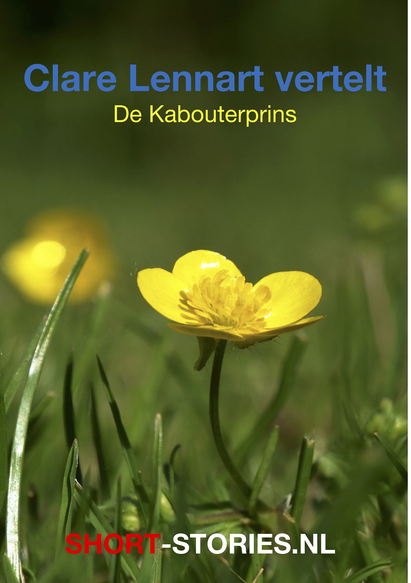 Omslag van De kabouterprins