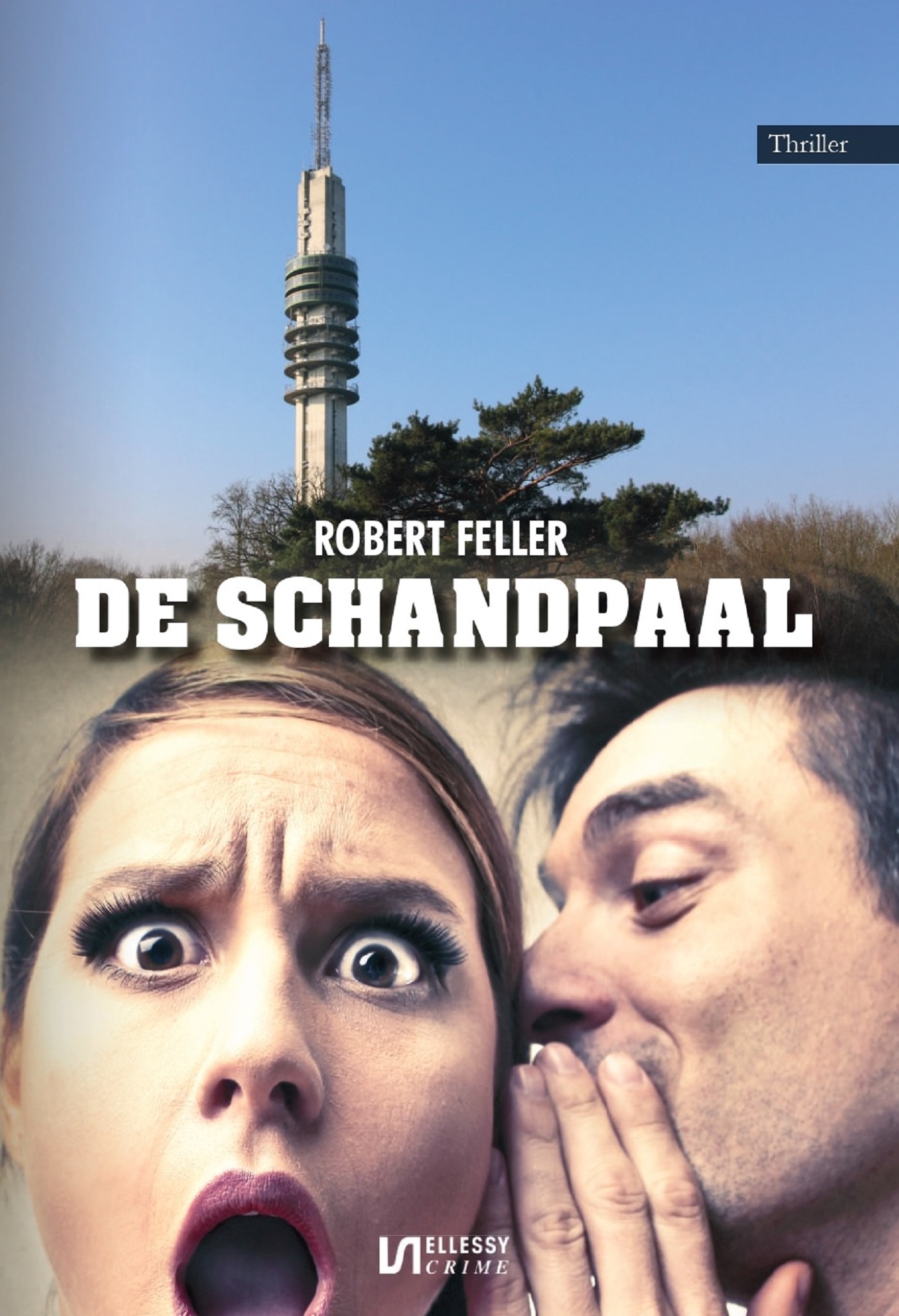 Omslag van De schandpaal
