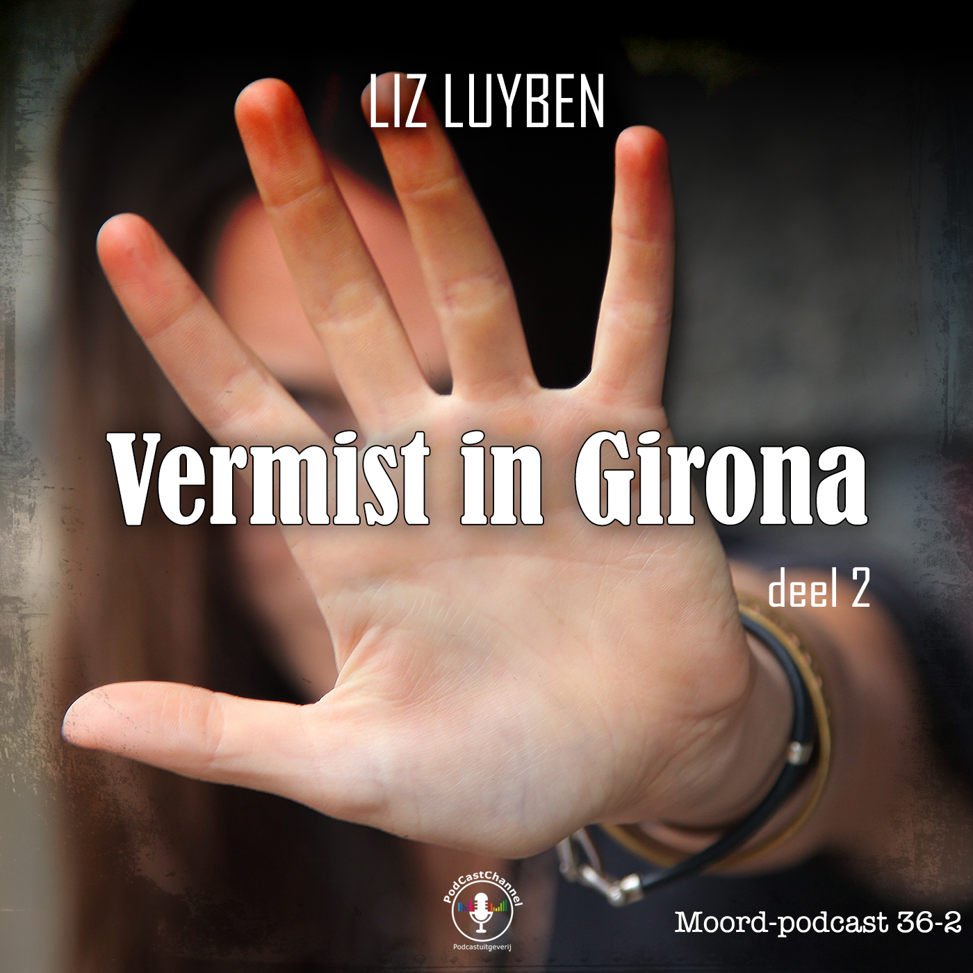 Omslag van Vermist in Girona