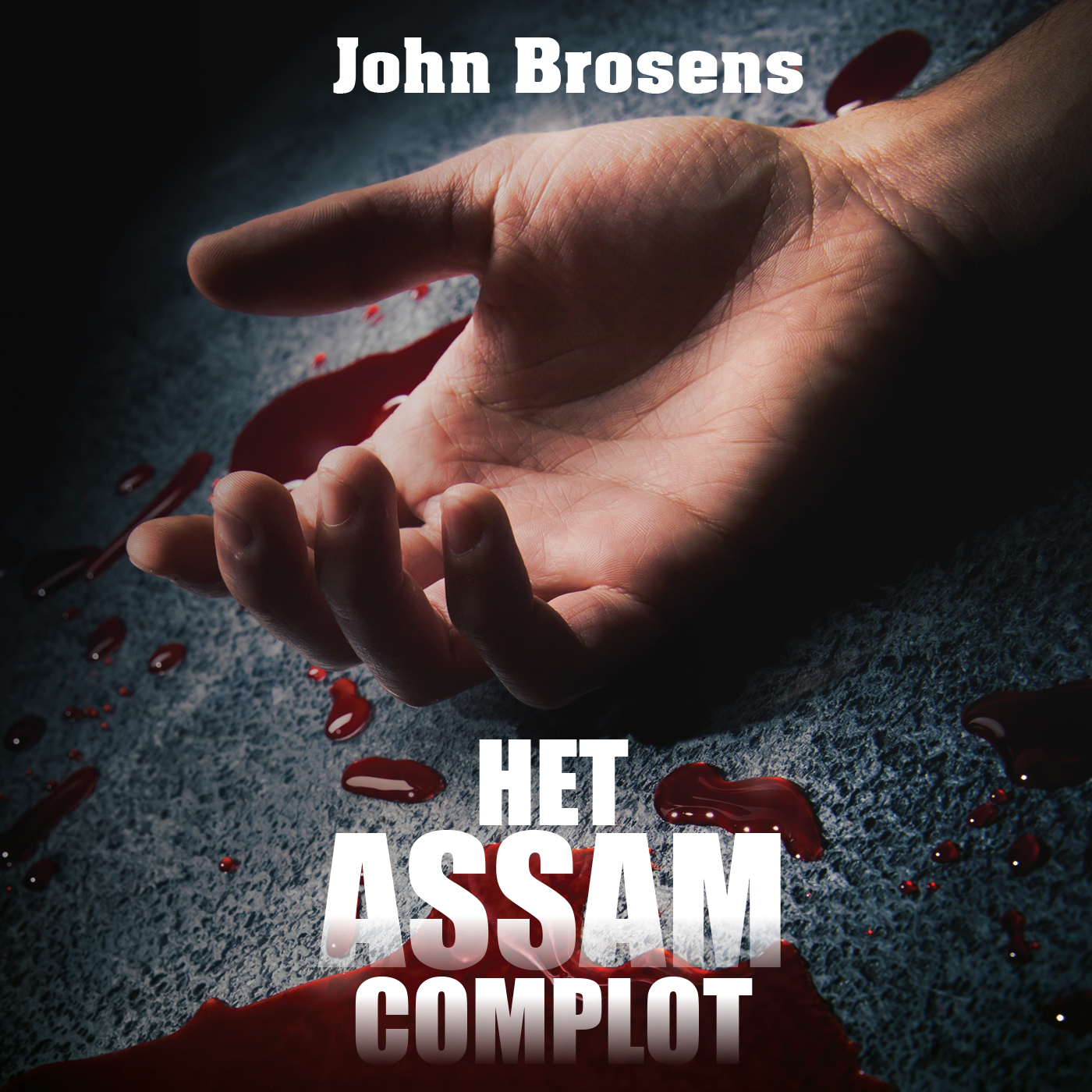 Omslag van Het Assam complot