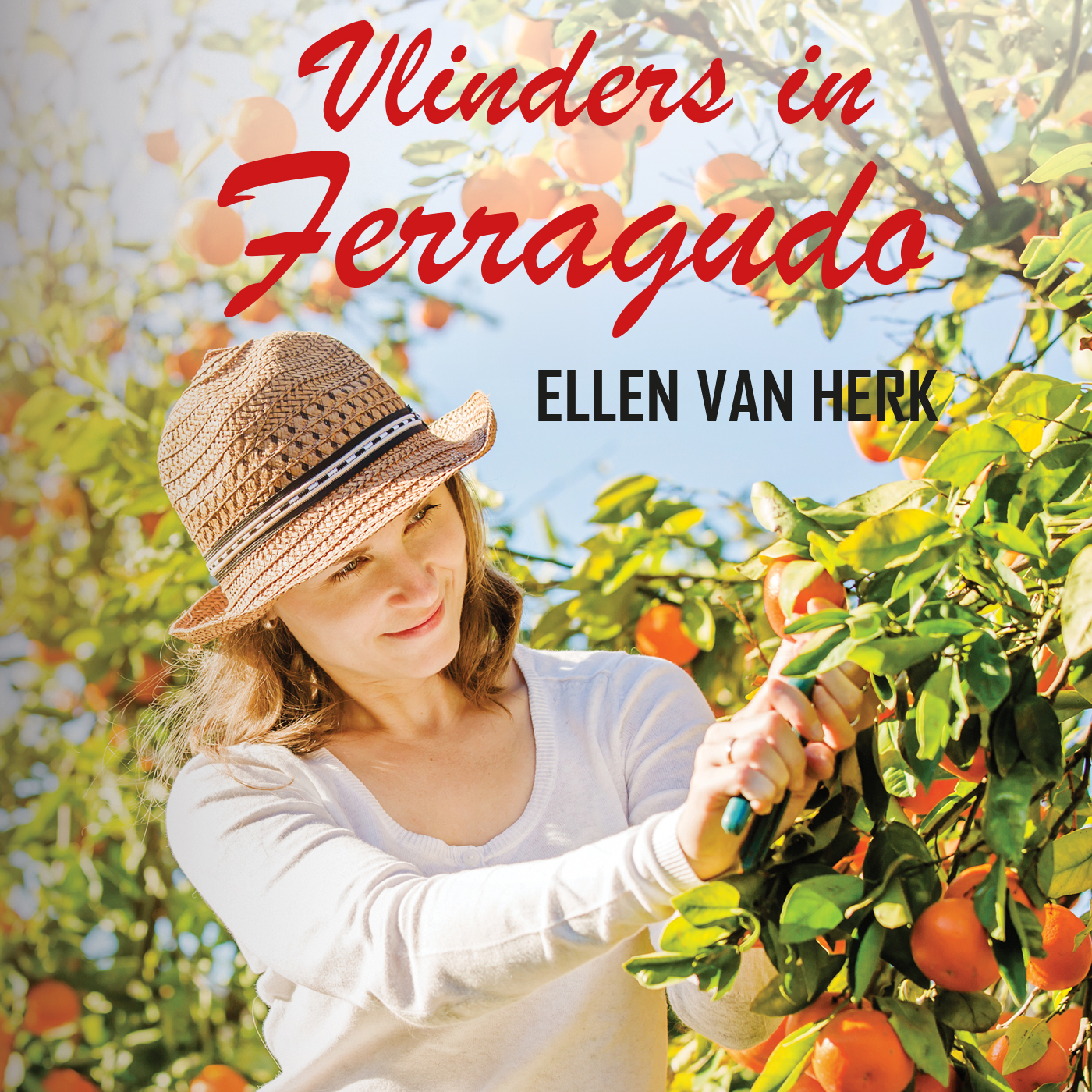 Omslag van Vlinders in Ferragudo