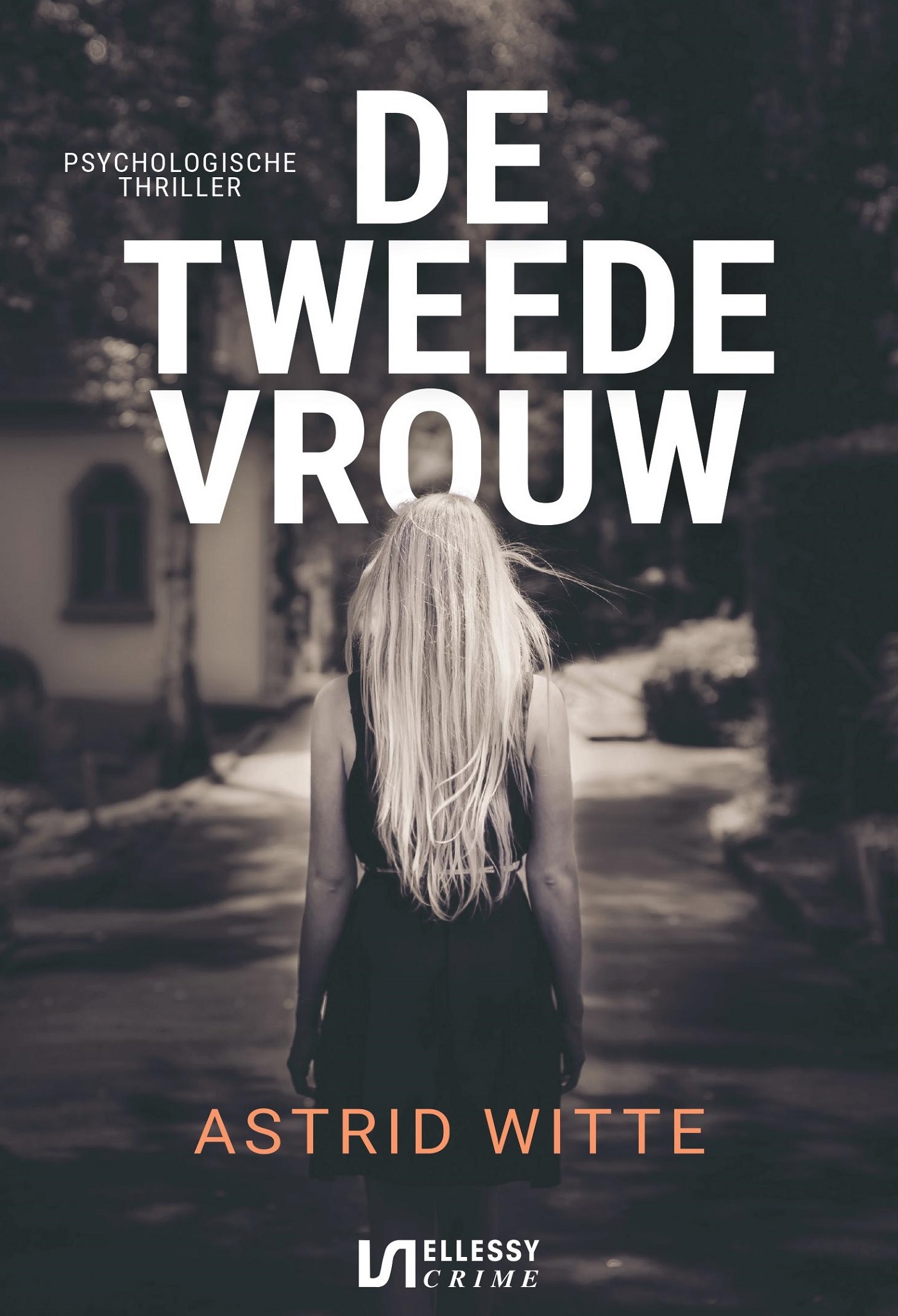 Omslag van De tweede vrouw