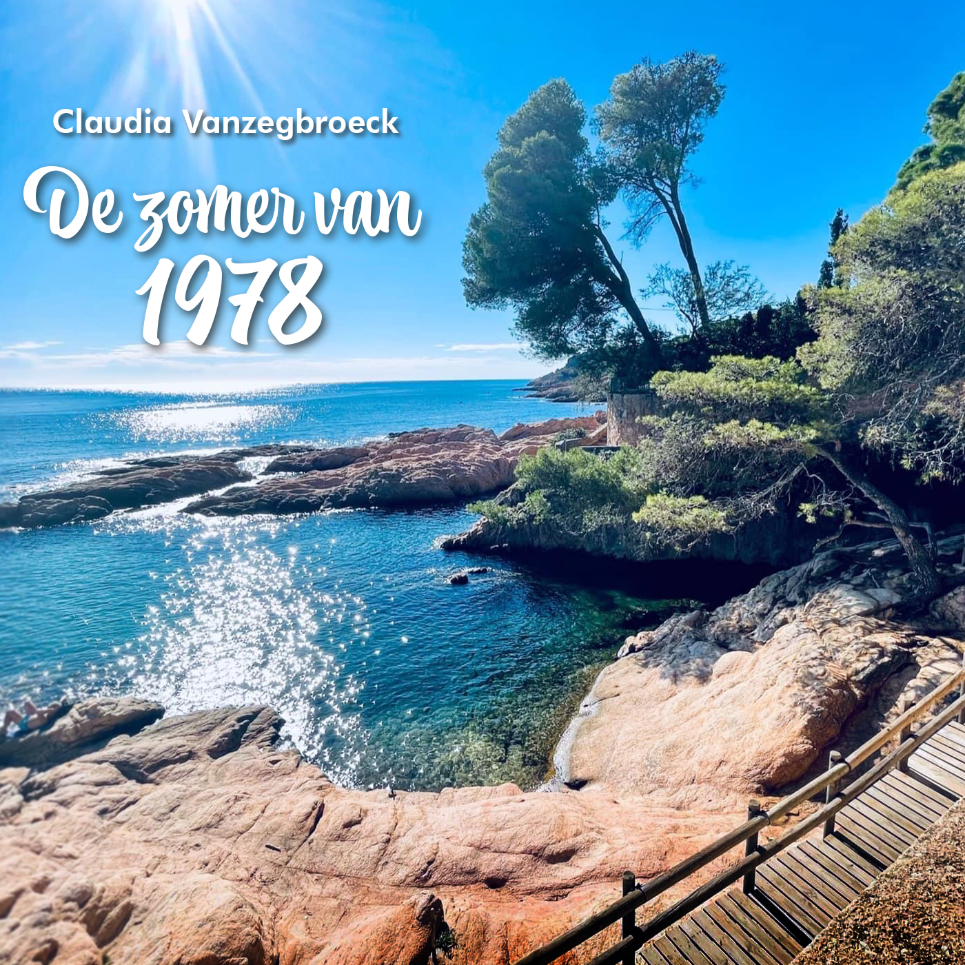 Omslag van De zomer van 1978