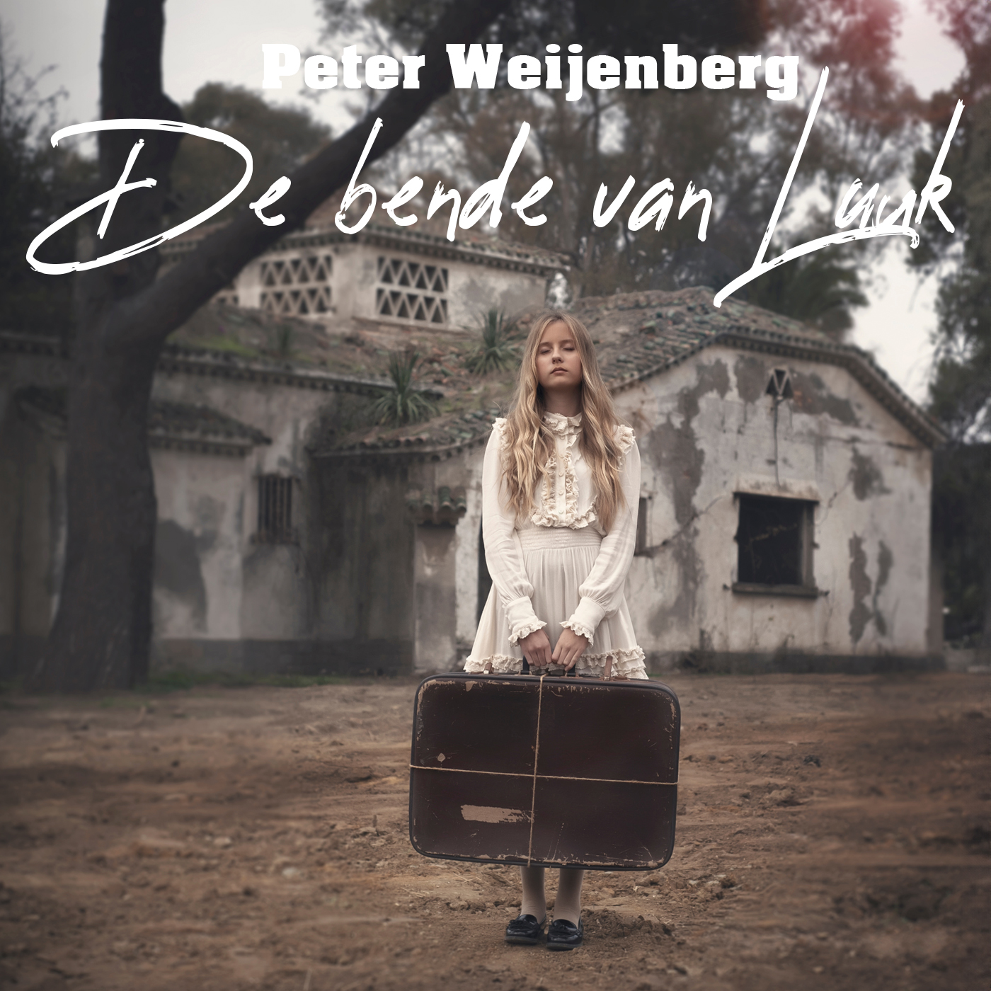 Omslag van De bende van Luuk