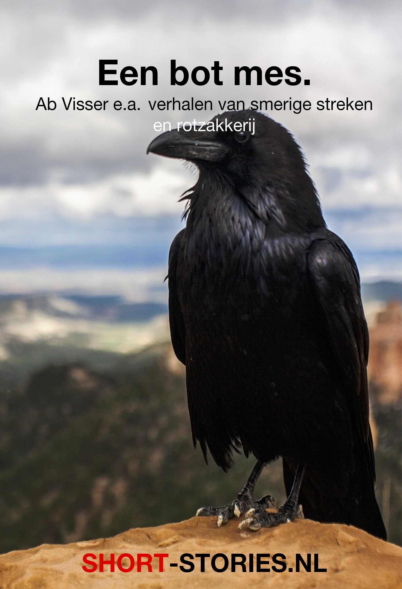 Omslag van Een bot mes